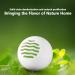 Deodorizer Balls | Interior Odor Absorber Odor Removal Purifier Household Shoe Odor Remover Shoe Odor Eliminate Air Purifier for Refreshing Sneaker Wardrobe Bags Fanelod - Buy Online on GoSupps.com