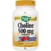 Nature's Way Choline 500 mg 100 Vegan Tablets