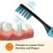 Amazon Basics Corded Electric Pulsating Deep Cleaning Toothbrushes - 2 Count Pack for Effective Oral Care - Buy Online on GoSupps.com