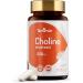 Choline Supplements, Supports Liver & Brain Health, High Absorption Choline Bitartrate 550mg, Non-GMO, Gluten-Free, Made in USA, 120 Vegan Capsules 60 Count (Pack of 2) Choline Bitartrate - Buy Online on GoSupps.com