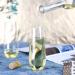 MR.FOAM 9oz Plastic Champagne Flutes 12 Pack - Stemless Disposable Toasting Glasses for Wedding and Shower Parties - Buy Online on GoSupps.com