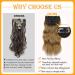 Affordable Clip-In Ombre Hair Extensions - 50cm 200g Double Weft Synthetic - Realistic Braid & Part Hair for Women - Buy Online on GoSupps.com