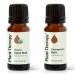 Plant Therapy Organic Clove Bud Essential Oil 10 mL (1/3 oz) & Cinnamon Bark Essential Oil 10 mL (1/3 oz) 100% Pure Undiluted Cinnamon Oil for Diffuser Spray Candle Making Spicy Sweet Scent