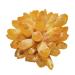 CIMWJOPS Natural Citrine Yellow Phantom Quartz Crystal Cluster Beautiful Crystal Crystal Cluster 500-100g