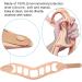 Shop Lmeili Neck Support - Soft Silicone Cervical Pain Relief Collar for Summer | Bathing & Shampooing Use - Buy Online on GoSupps.com