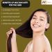 100% pure naturelle 0 9 kg boue purifi e Multani Mitti | Poudre d'argile Fullers Earth de qualit cosm tique | Masque facial naturel 2 livres / 908 GMS - Buy Online on GoSupps.com