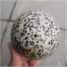 Ornament Natural Stone Sphere Dalmatian Jasper Crystal Quartz Ball for Gift for Decoration Gift Decoration feng Shui 1pc (Color : 1pc 60mm) - Buy Online on GoSupps.com