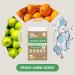 Eco-Friendly Laundry Leaf Detergent Sheets | Sustainable Clean for All Fabrics | Shop Internationally - Buy Online on GoSupps.com