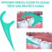 FAMILIFE Mint Dental Floss Picks - 100 Individually Wrapped Dental Flossers for Healthy Teeth & Fight Tooth Decay | Portable Floss Sticks - Buy Online on GoSupps.com