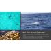 Buy Organic Tropical Ocean Cream with Cod & Salmon Oil | All Omega Essential Fatty Acids for Face & Body - Buy Online on GoSupps.com