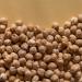 TRS Chick Peas Salted 1 x 400 g - Buy Online on GoSupps.com