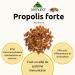Lemuria - Propolis Forte E.T. - Useful against sore throats and colds - 100% natural food supplement - 100 ml - Alcohol and lactose free - Vegan - Made in Italy - Buy Online on GoSupps.com