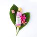 Buy Pure Fiji Exotic Oil - Frangipani 8 Ounce | International Shipping Available - Nourish Your Skin - Buy Online on GoSupps.com