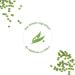 Sprout Living Organic Pea Protein Powder - 20g Plant-Based Protein, Non-Dairy, Non-GMO, Vegan, Gluten-Free, Keto-Friendly - 5lb - Buy Online on GoSupps.com