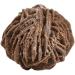 1pcs Natural Moroccan Desert Rose Raw Stone Specimen Rough Decoration Home for Gifts Crystal (Color : Random 1pcs Size : 100g) 100g Random 1pcs - Buy Online on GoSupps.com