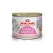 Royal Canin Mother & Babycat Mousse | 195 g | Complete Food for Cats | Specially designed for the mother and her puppies | po