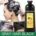 Ginger Lot de 2 shampoings Herbal Natural Fast Blacking Gray Hair Dye Black Shampooing Dye for Hair Coloring Anti-Hair Loss Hair Care Natural Black Hair Shampooing (Noir) - Buy Online on GoSupps.com