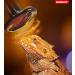 Vansuky 200W Black Ceramic Heat Lamp - E27 Reptile Heating Bulb for Turtle & Breeding | AC 220-240V - Buy Online on GoSupps.com