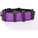ZZBB Transfer Belt with Handles Loops Breathable Secure Transfer Moving Gait Belt Quick Release Elderly Care Nursing Safety Gait Assist Belt Moving for Bedridden Elderly - Buy Online on GoSupps.com