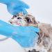 Pecute Heat Resistant Pet Grooming Gloves | Silicone Dog & Cat Bathing Gloves with High-Density Teeth | Enhanced Five Finger Design for Bathing & Massaging - Buy Online on GoSupps.com