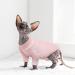 Pumyporeity Sphynx Cat Sweater - Soft Cotton Clothing for Hairless Cats | Breathable Skin-Friendly XL T-Shirt in Pink - Buy Online on GoSupps.com