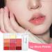 Women's Lip Gloss Palette 12 Colors Lip Gloss Tints Moisturizing Lip Gloss - Soft Tinted Lip Gloss Color Palette Lipstick for Women - Buy Online on GoSupps.com
