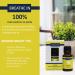 Buy Airom 100% Pure Therapeutic Grade Lemon Essential Oil | Non-GMO Ethically-Sourced | 15 mL Amber Glass Bottle - International Shipping Available - Buy Online on GoSupps.com
