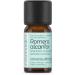 100% Pure Rosemary Oil for Hair Growth - ESSENCIALES 10 ml | Natural Hair Care Solution - Buy Online on GoSupps.com