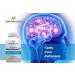 Memory Boost + Brain Support Supplement Nootropic for Focus, Concentration, Memory. Enhanced Energy, Recall and Alertness - 60 Capsules/30-day Supply. - Buy Online on GoSupps.com