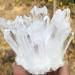 Home Natural White Quartz Crystal Cluster Specimen Home Goods (Size : 650-700g) - Buy Online on GoSupps.com