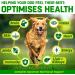 CANIVET Multivitamins for Dogs | 180 Chicken Flavour Tablets | Essential Dog Vitamins & Minerals | Full Spectrum Health Supplement | Up to 1 Year Supply - Buy Online on GoSupps.com