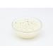 Buy Knorr Salmon Cream Gratin Mix - 2 Portions of Delicious Casserole with Natural Ingredients | International Shipping Available - Buy Online on GoSupps.com