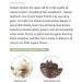 Gaspari Nutrition Proven Vegan Protein - Organic Gluten-Free Soy-Free Non-GMO (2lbs Vanilla Chai Latte) - Healthy Plant-Based Protein Powder - Buy Online on GoSupps.com