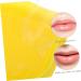 Mikinona Lip Filler 2 Boxes Lip Mask Lip Caring Portable Lip Films Anti-drying Lip Crystal Lip Convenient Lip Lips Lip Sleeping Mask Gel To Sleep Miss Lip Balm - Buy Online on GoSupps.com