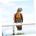 PopetPop Flying Bird Diapers - Sittich Darling Cotton Diapers for Small Birds | Protective Parrot Diaper & Urine Pad - 22x12cm 2 Pcs - Buy Online on GoSupps.com