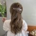Aaiffey Alligator Hair Clips - 5 Pcs Matte Premium Strong Non-Slip Professional Styling Clips for Women - Ideal for Any Hairstyle - Buy Online on GoSupps.com
