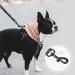 Snocyo Jogging Dog Leash - Reflective Elastic Double Handle & Waist Belt for Medium to Large Dogs - Black & Green - Buy Online on GoSupps.com