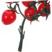 Abaodam 5pcs String Simulated Cherry Tomatoes Fake Cherries Lifelike Mini Tomatoes Fake Grapes Faux Cypress Garland Plastic Fruit Decor Mini Artificial Fruit Child Plant Fake Food Pvc Redx5pcs 18X16CMx5pcs - Buy Online on GoSupps.com