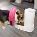 Ducomi Inflatable Pet Hinges for Dogs & Cats - Comfort & Mobility - Prevent Scratches - Pink M - Buy Online on GoSupps.com