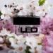 Buy High Light LED Gel Bianco BP Free 30g - Premium Quality & Fast International Shipping - Buy Online on GoSupps.com