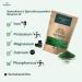 Spirulina Powder | Organic Organic | Spirulina Powder | Samskara food for thought (1kg x 1pack) - Buy Online on GoSupps.com