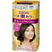 Kao Blaune Easy Painting Gloss Hair Color - 6 Dark Brown (Green Tea Set)