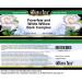 Bianca Rosa Feverfew and White Willow Bark Complex Cream (2 oz ZIN: 512941) - 2 Pack - Buy Online on GoSupps.com