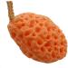 minkissy Body Wash Sponge Super Soft Bath Natural Fiber Shower Sponge Body Sponge for Kids Bath Sponges Infant Bath Sponge Dish Facial Exfoliator Sponge Loofah Sponge Face Miss Scrub - Buy Online on GoSupps.com