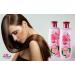 Biofresh Cosmetics Rose of Bulgaria Gift Set for Women - Hydrating Shampoo Soothing Soap & Hand Cream with Rose Oil & Water - Buy Online on GoSupps.com