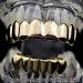 MOYIC Top Bottom False Teeth Halloween Mouth Grills Punk Copper Plated Gold Tooth Performance Party Ornament Supplies for Festival Silver - Buy Online on GoSupps.com