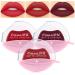 evpct 3Pcs Dark Ruby Deep Red Purple Matte Velvet Lazy Lipstick Set Long Lasting Waterproof Smudge Proof Lip Stick Packs Lip Stain Gloss Makeup Set for Women labiales matte larga duracion 24 020915 3 Count (Pack of 1)...