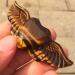 1pcs AAAA Natural Crystal Yellow Tiger Eye Carved Angel Heart Shape Crystal-55MM-60MM_1pcs 1pcs 55mm-60mm