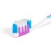 Epic Xylitol Toothpaste - Sugar Free Spearmint, 4.9oz (2 Tubes) for Clean Teeth & Gum Health - Buy Online on GoSupps.com