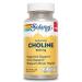 SOLARAY Choline 500 mg Cognitive Brain Health and Liver Support Supplement Powerful Brain Supplement & Choline Source for Adults Odor-Free Vegan Liquid VegCaps 60 Servings 60 Capsules